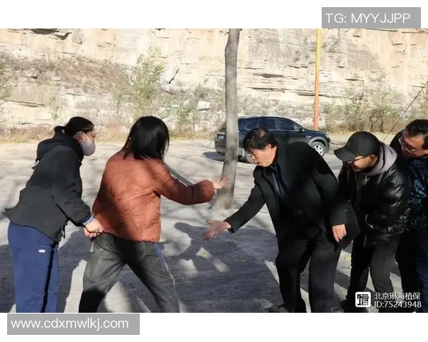 北京排球队逆袭之路联合会杯特别报道展现拼搏精神与团队力量